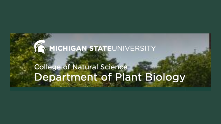 MSU Plant Biology - Friday Seminars and other events