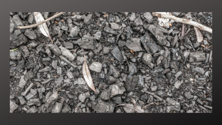 Kellogg Bio Station hosts Biochar event, July 17, 2023