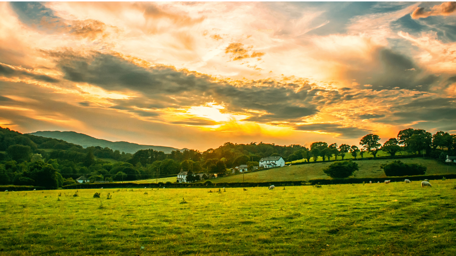 Farmland with sun shining through clouds