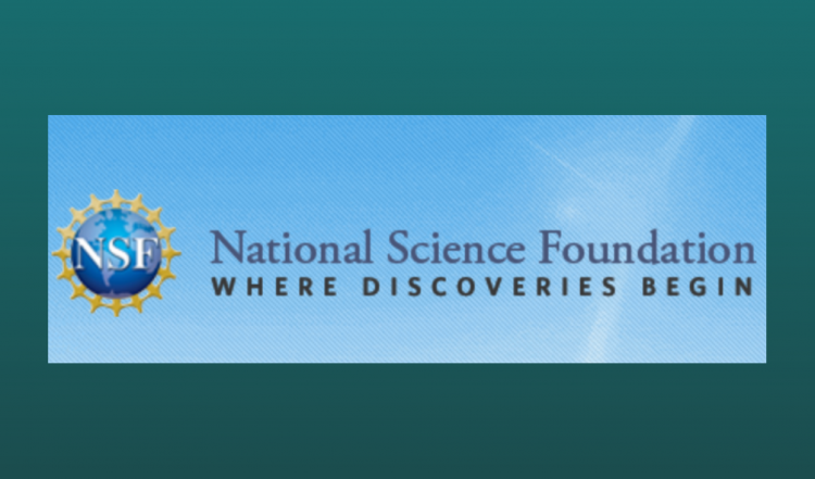 NSF Logo