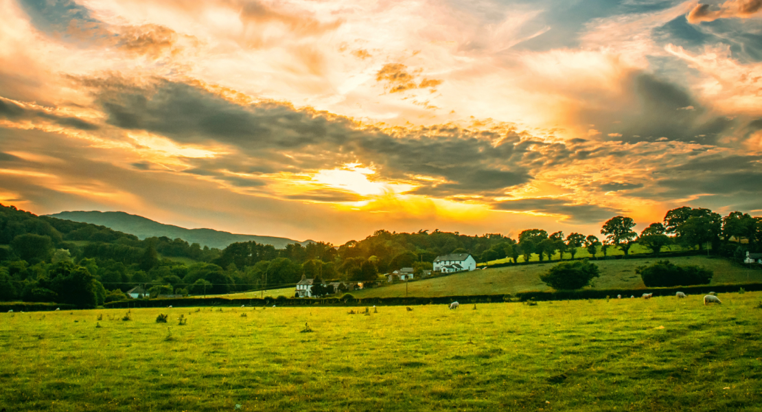 Farmland with sun shining through clouds