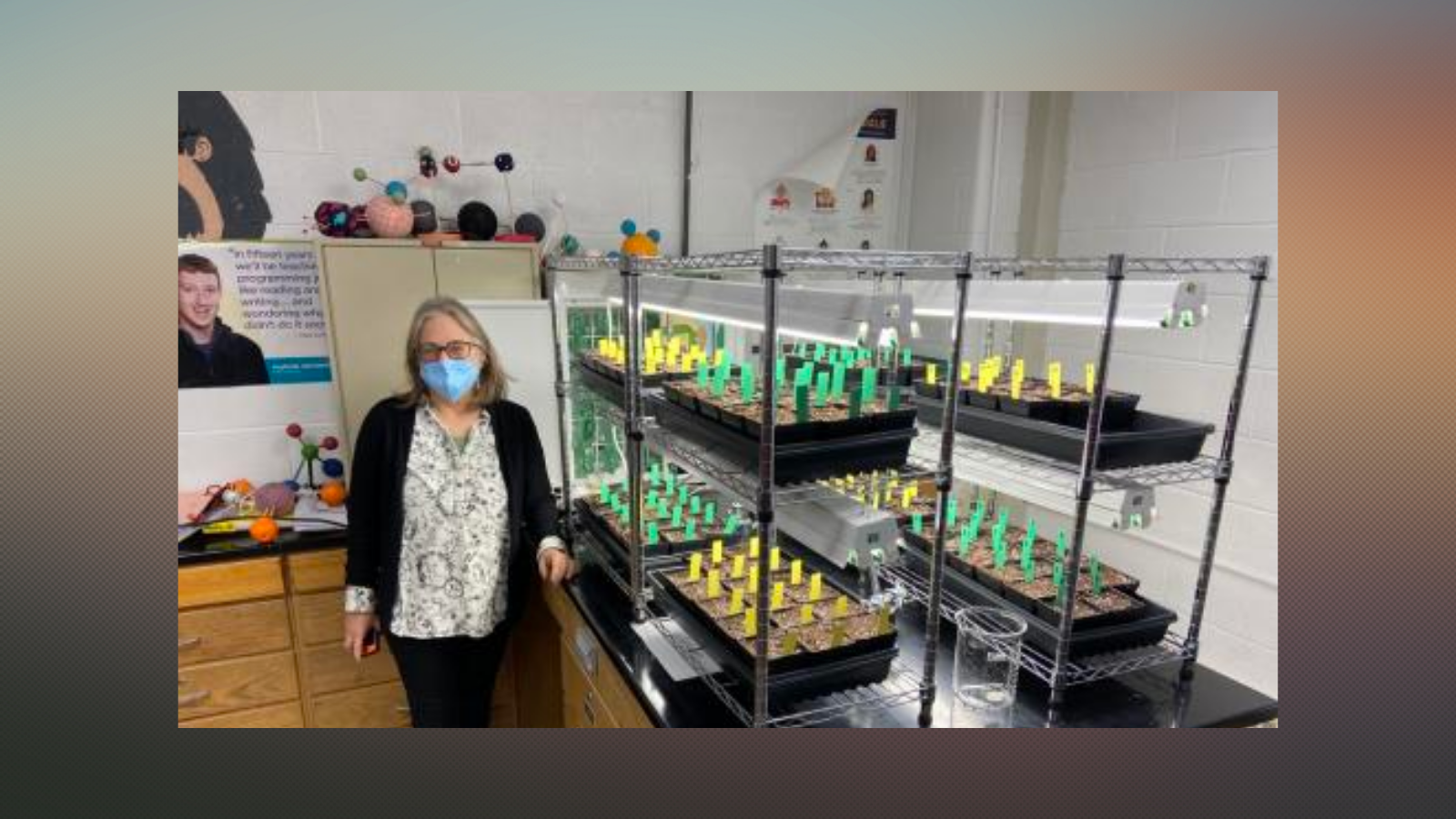 Photo of Renee Bayer standing next to a cart filled with Monkey Flower starters